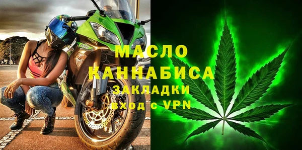 гидра Богородицк