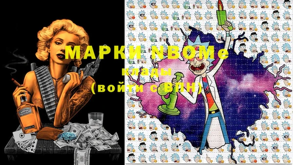 хмурый Покачи