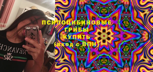 молекула духа Белокуриха