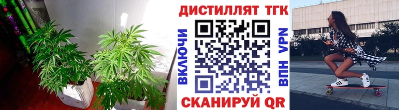 ТГК вейп  Нелидово 